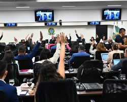 Defesa das Prerrogativas: Pleno aprova desagravo público em defesa de advogado agredido no exercício profissional
