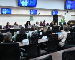 OAB/DF promove debate sobre gênero e estruturas sociais durante o 2º Colégio de Presidentes das Comissões da Mulher Advogada