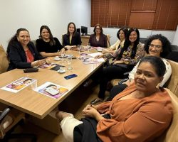 Colégio de Presidentes de Comissões de Violência Doméstica da OAB/DF é criado e elege coordenação