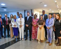 Colégio de Vice-Presidentes da OAB/DF, CAADF e Subseções discute soluções conjuntas e fortalecimento institucional