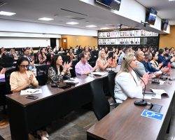 FAJ/OAB-DF capacita advocacia para o atendimento a vítimas de violência doméstica