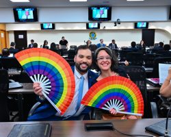 Comissão de Diversidade Sexual e de Gênero passa a ser permanente na OAB/DF