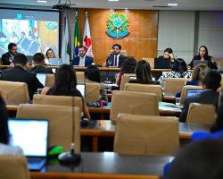 Tribunal de Defesa das Prerrogativas da OAB/DF aprova Moção de Pesar pela perda de servidores da SEAPE/DF