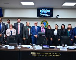 Conselho da OAB/DF aprova por unanimidade a transformação da Comissão de Defesa da Pessoa com Deficiência em comissão permanente