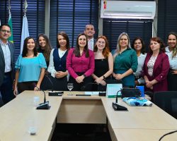 Colégio de Presidentes de Família da OAB/DF inicia organização do 1º Dia da Advocacia Familiarista (2026)