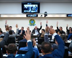 Conselho Pleno da OAB/DF aprova nome de Newton Rubens para o Conselho Federal e de Flávio Fonseca para a Diretoria de Prerrogativas da Seccional