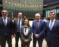 Presidente da OAB/DF acompanha votação na Câmara dos Deputados e defende lei de combate  ao Golpe do Falso Advogado