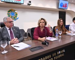OAB/DF reúne instituições, especialistas e pais em audiência pública sobre inclusão escolar e autismo
