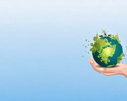 OAB/DF lança IV Campanha Junho Verde com foco em Direito e Educação Ambiental